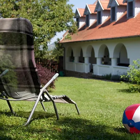 Grand Balaton House - #a43425